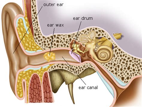 why is my ear wax blocking